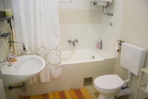 Koupelna v ubytování Apartments Plavica