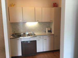 Kuchyň nebo kuchyňský kout v ubytování Apartments Urschitz