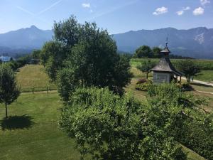 Příroda nedaleko apartmánu