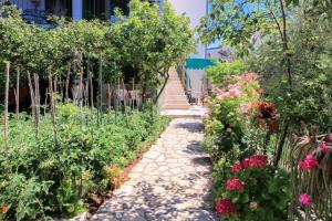Zahrada ubytování Apartments Plavica
