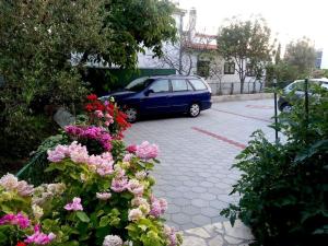 Zahrada ubytování Apartments Plavica