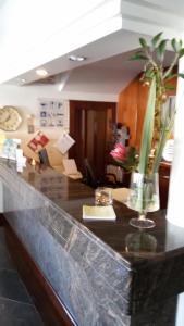Gallery image of Hotel Ulveira in Oliveira de Frades