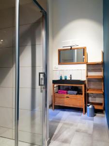 a bathroom with a shower and a mirror at Agathe et Titi in Marigny-lès-Reullée