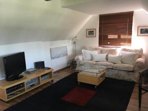 Telewizja i/lub zestaw kina domowego w obiekcie Alte Donau
