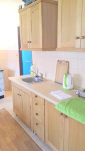 Kuchyň nebo kuchyňský kout v ubytování Safar residence