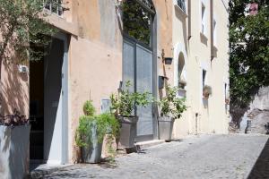 pusta ulica z doniczkami na boku budynku w obiekcie Secret Rhome Loft w Rzymie