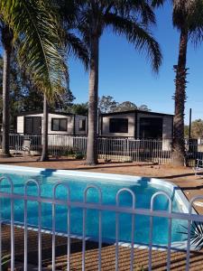 a swimming pool with a fence and palm trees at Wine Country Tourist Park Hunter Valley in Nulkaba