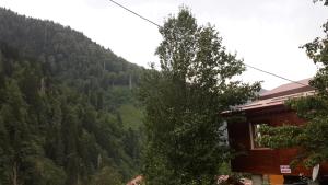 a house with a view of a mountain at AYDER ŞAFAK Apart in Ayder Yaylasi