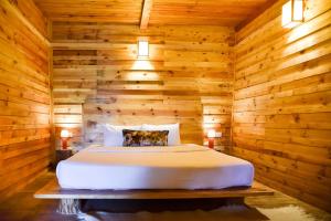 Gallery image of Suro Treehouse Resort in Shogi