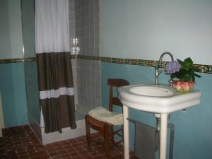 uma casa de banho com um lavatório e um chuveiro em B&B La Vagabonde em Arles