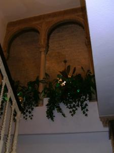 Una escalera con un montón de plantas. en Hostal Alicante, en Granada