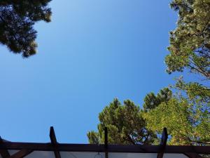 un ciel bleu avec des arbres en arrière-plan dans l'établissement Villa Akwaba, à Pyla-sur-Mer