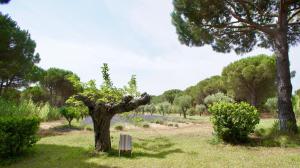 Φωτογραφία από το άλμπουμ του Campagne les Jumeaux στο Σαιν-Τροπέ