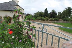 Φωτογραφία από το άλμπουμ του Harry's House σε Ballinrobe +27 φωτογραφίες