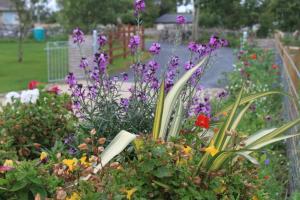 Φωτογραφία από το άλμπουμ του Harry's House σε Ballinrobe