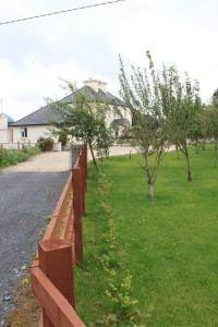 Φωτογραφία από το άλμπουμ του Harry's House σε Ballinrobe