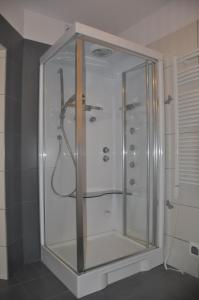 a shower with a glass enclosure in a bathroom at Apartament Róża in Kościelisko