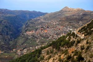 a view of a town on top of a mountain at Cedars Palace in Al Arz