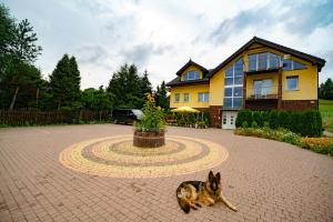 a dog sitting in front of a house at Isaan Ostrzyce - obudź się w sercu Kaszub! in Ostrzyce