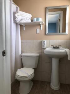a bathroom with a toilet and a sink and a mirror at Pelican Point Motel in Point Pleasant Beach