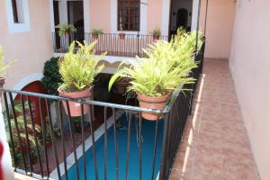 Fotografie z fotogalerie ubytování Hotel Posada Doña Lala v destinaci Tlacotalpan