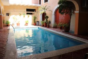 a swimming pool in a building with plants at Hotel Posada Doña Lala in Tlacotalpan