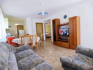 a living room with a couch and a tv at Apartments Barbara in Banj