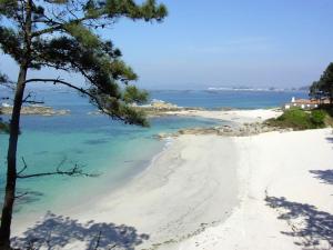 piaszczysta plaża z drzewem i oceanem w obiekcie Apartamentos Luis Antonio Mestre w mieście O Grove