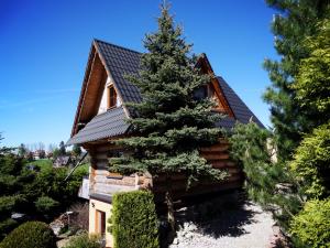 a log cabin with a pine tree in front of it at Zbójecko Chata in Bukowina Tatrzańska