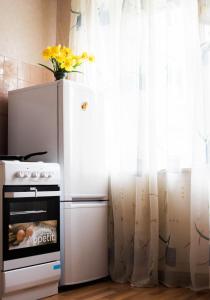カリーニングラードにあるАпартаменты на 9 Апреляのキッチン(コンロ、窓付き冷蔵庫付)