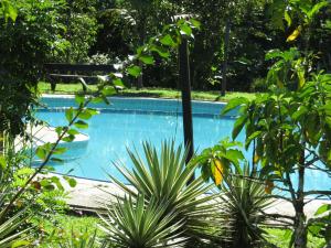 una piscina en un jardín con plantas en Eware Refugio Amazonico en Puerto Nariño