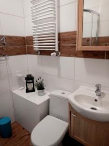 ein Bad mit einem WC und einem Waschbecken in der Unterkunft Apartamenty Mewa in Misdroy