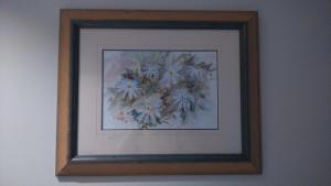 Foto sihtkohas Dunedin asuva majutusasutuse Restview galeriist