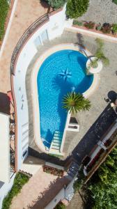 an overhead view of a large swimming pool at Villa Araucaria in Ischia