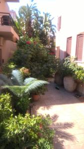 un patio con plantas y flores en un edificio en Rosmarino, en Kissamos