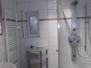 a bathroom with a shower and a sink and a toilet at Ferienwohnung in Hahnheim, Rheinhessen in Hahnheim