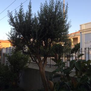 Gallery image of B&B Casavale in Carloforte
