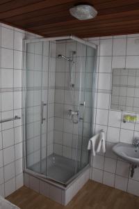 a shower with a glass door next to a sink at Hotel und Restaurant Hohenzollern in Erfurt