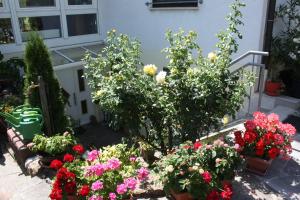 um jardim de flores em frente a uma casa em Ferienwohnung Burger em Sasbach am Kaiserstuhl