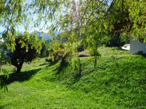 Paesaggio naturale nelle vicinanze dell'affittacamere