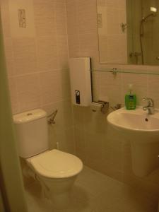 łazienka z toaletą i umywalką w obiekcie Apartman Ašek w mieście Ramzová