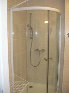 蘭佐瓦的住宿－Apartman Ašek，浴室里设有玻璃门淋浴