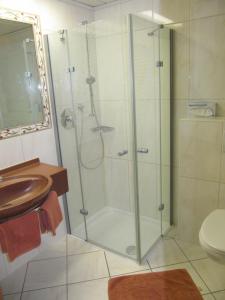 Vannituba majutusasutuses Hotel Bechlwirt