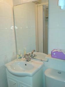 ein Badezimmer mit einem Waschbecken, einem WC und einem Spiegel in der Unterkunft Morbey's Chalet in Sintra