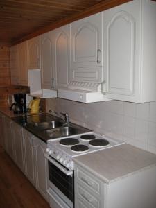A kitchen or kitchenette at Alppimaja