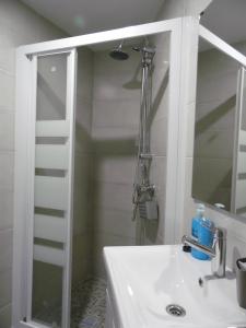 a bathroom with a shower and a sink at El Patio de Mi Casa in Toledo