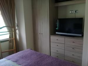 1 dormitorio con TV y vestidor con cama en Casa Condominio Alicura Pucón, en Pucón