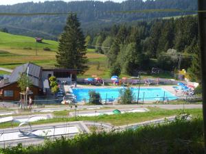 a large swimming pool in a field with a mountain at Bed & Breakfast Jungholz - Pension Katharina in Jungholz