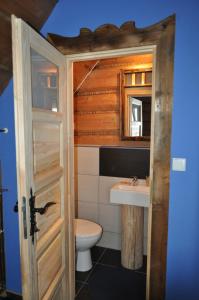 a bathroom with a toilet and a sink at Legenda Tatr in Zakopane