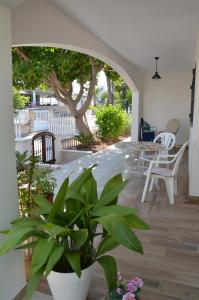 a patio with a table and chairs and a plant at Carrasqueta in Port d'Alcudia